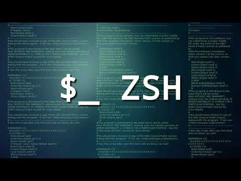 Zsh kali linux настройка