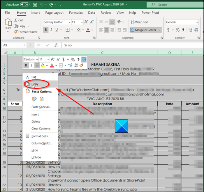 How to copy Column Width in Excel