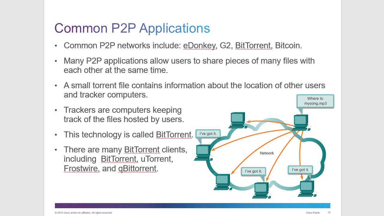 CCNA 1 Chapter 10: Application Layer