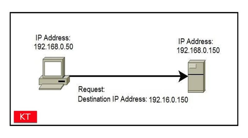 how to see ip address on mac