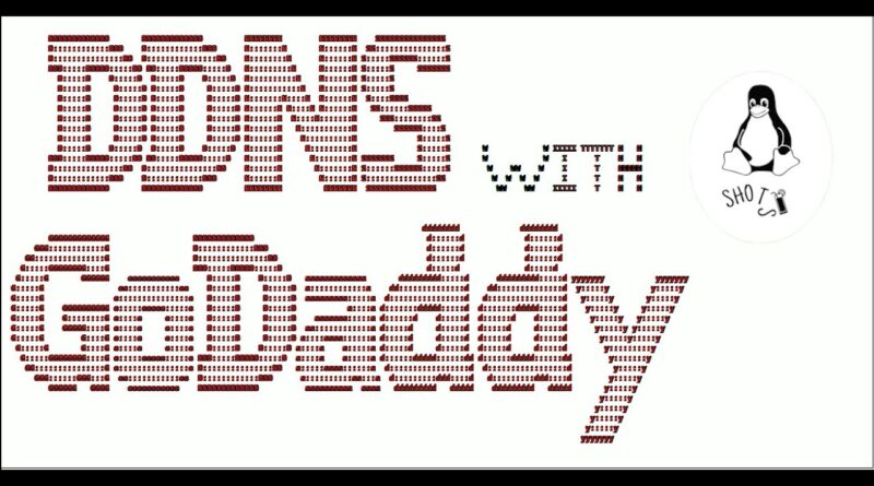 Dynamic DNS with GoDaddy | Dynamic IP address | Home Server | AWS