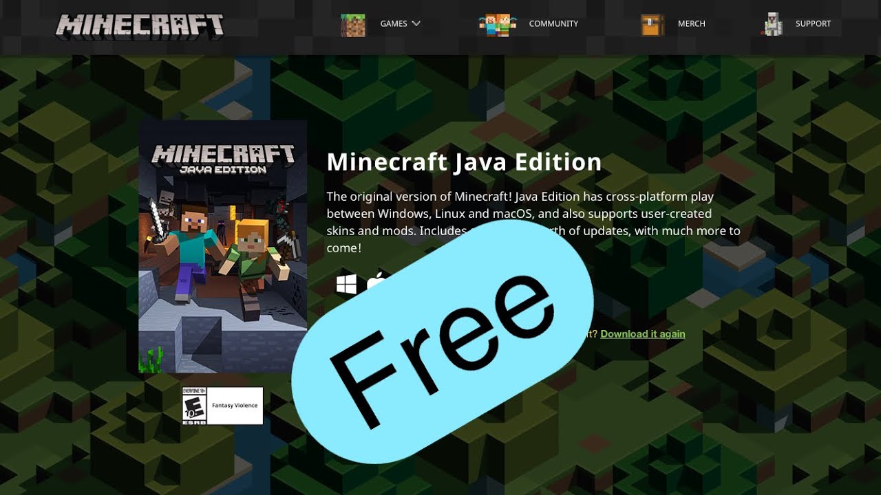 download minecraft server java edition