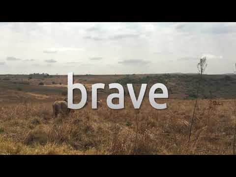 install brave browser debian install brave browser debian