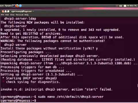 Ubuntu dhcp server настройка