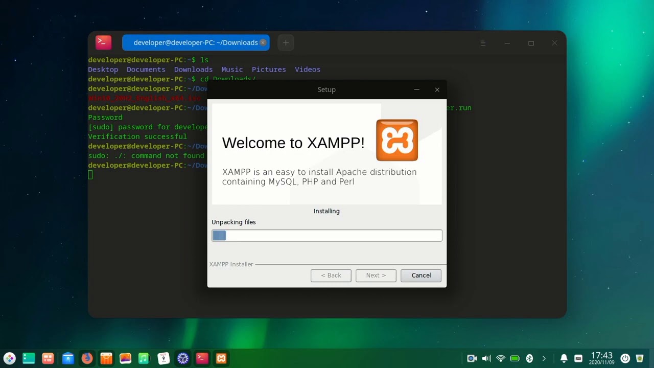 install xampp in linux