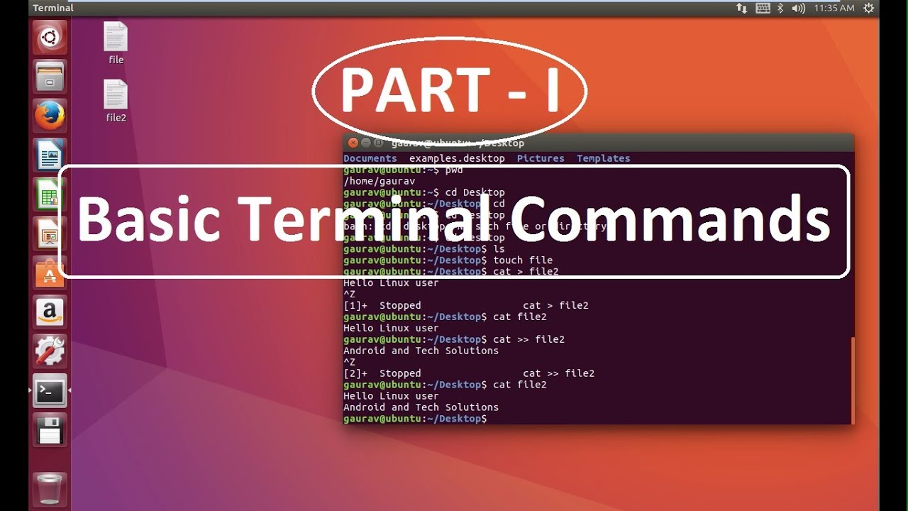 basic terminal commands