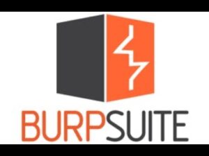 burp suite program that ships with kali linux