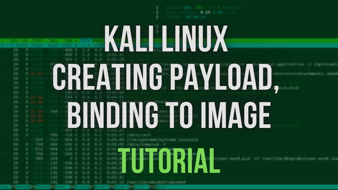 Как установить payload на kali linux