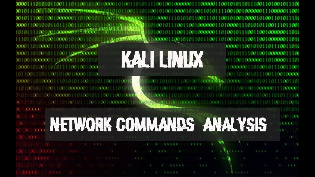 network-commands-and-analysis-in-kali-linux