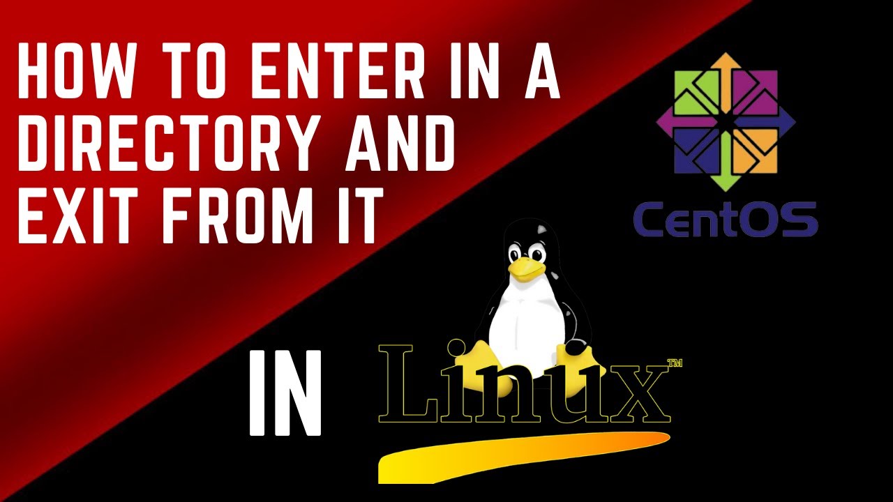 10-how-to-enter-in-a-directory-and-exit-from-it-in-bangla-linux-tutorial