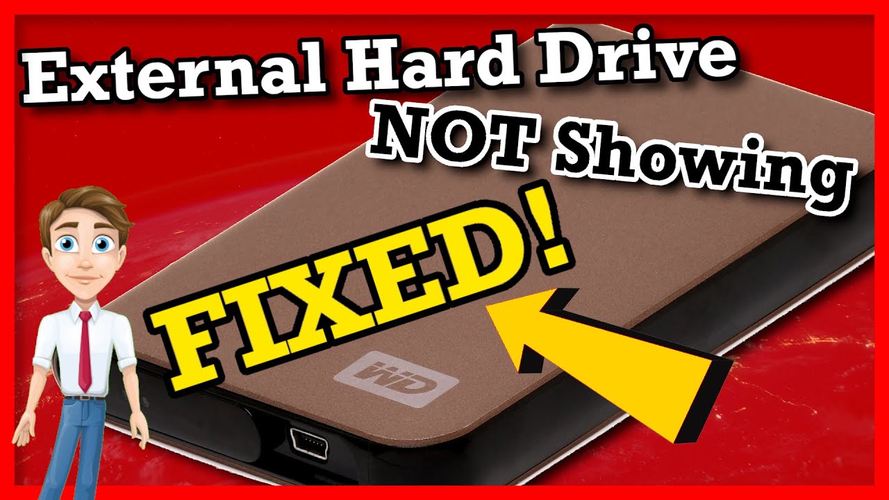 A Complete Guide To Fix Wd External Hard Drive Not Recognized Images