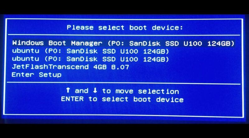 Remove an efi boot option from the boot order asus что это