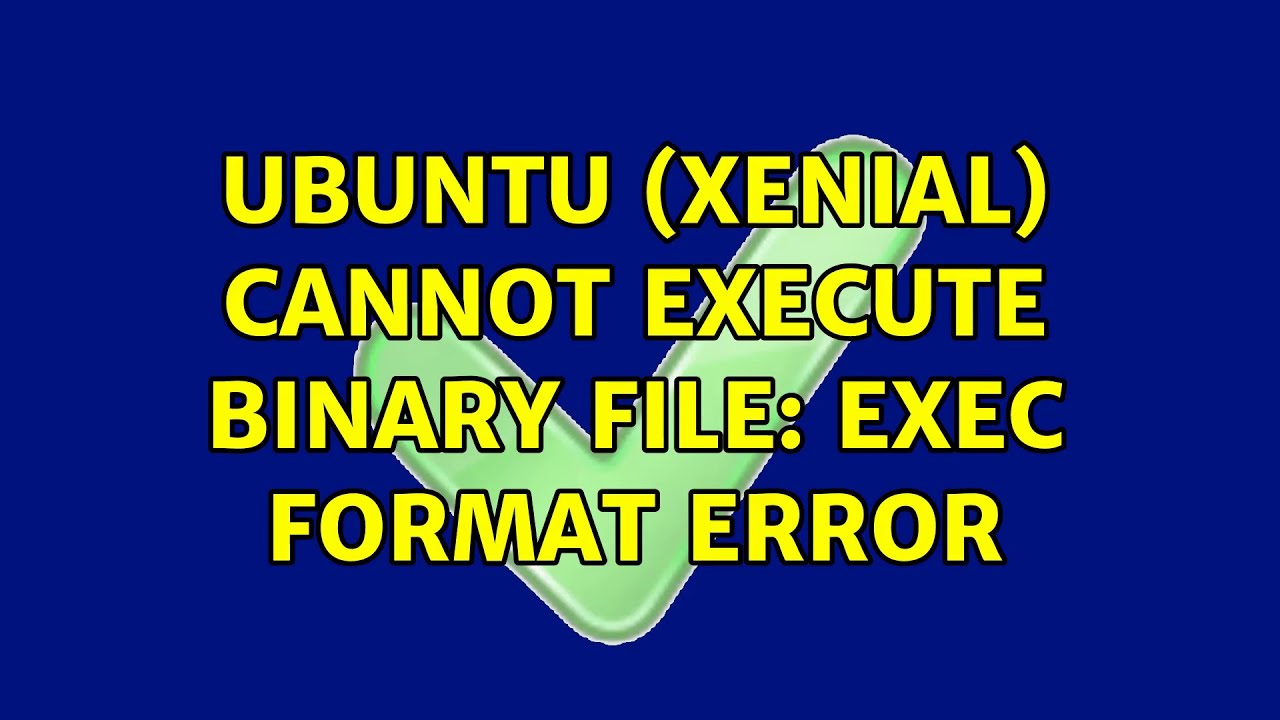 Ubuntu (xenial) cannot execute binary file Exec format