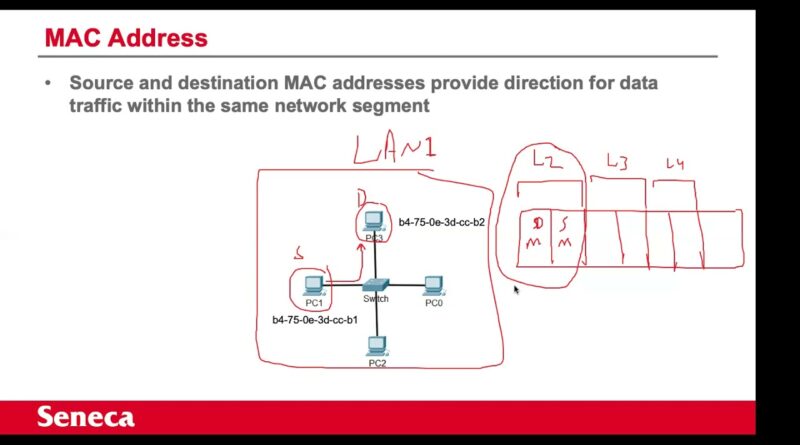 introduction-to-physical-and-logical-addresses