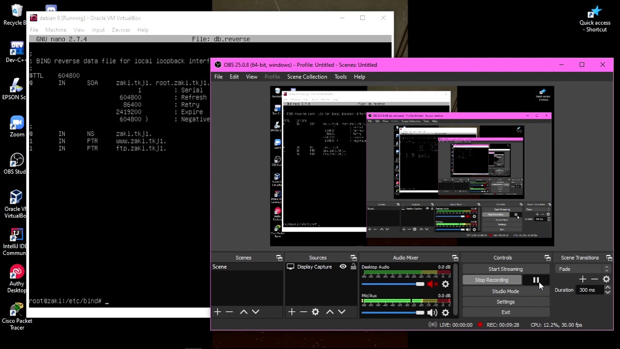 Debian не работает dns