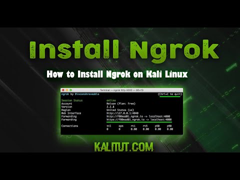 Как установить ngrok kali linux