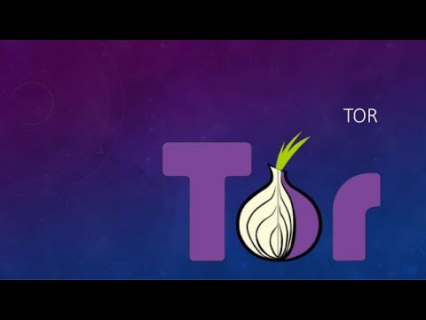 how to install tor browser on kali