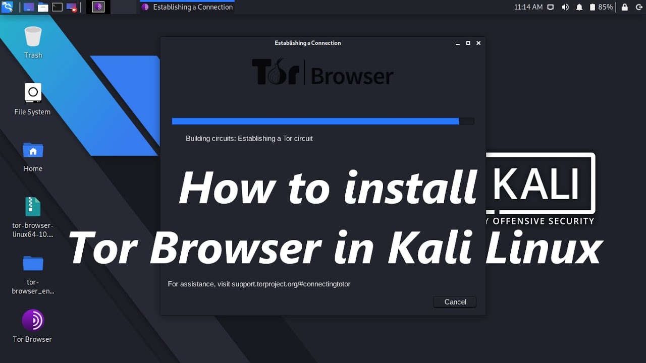 kali linux tor browser