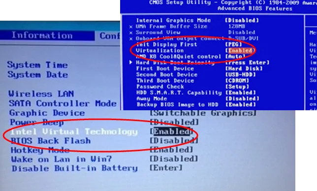 Enable Hardware Virtualization