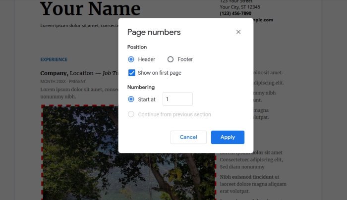 how-to-add-page-numbers-in-google-docs