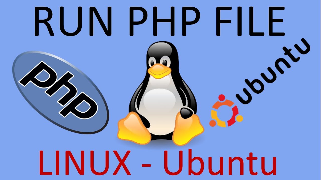 how to run php file in linux