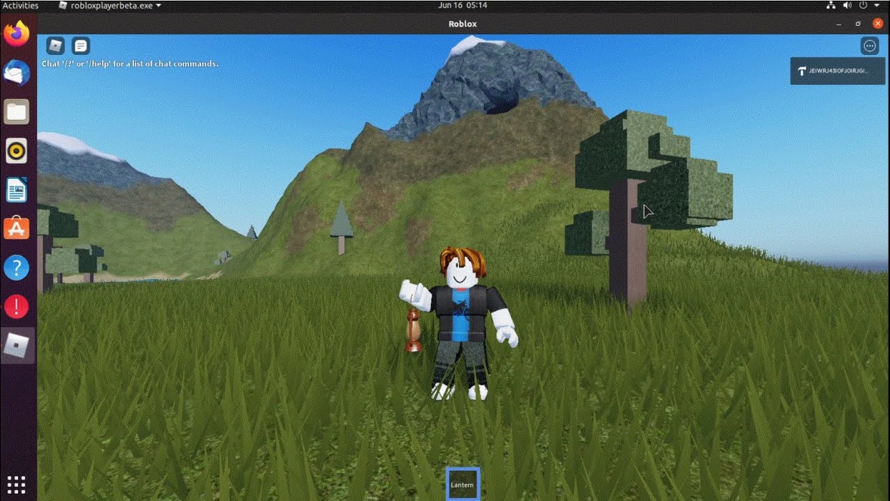 Roblox settings. Roblox для Ubuntu. Roblox на линукс. Как играть в РОБЛОКС на Linux. Видео как установить РОБЛОКС.