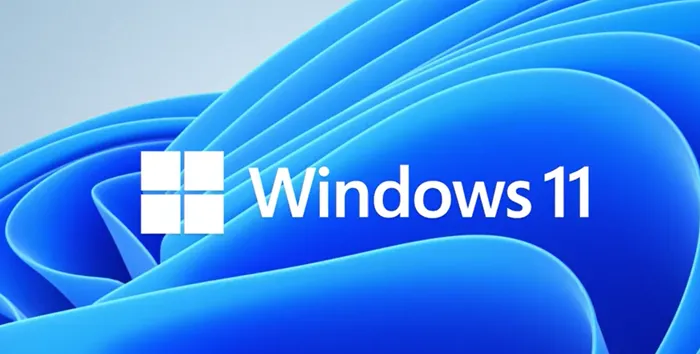 Windows 11