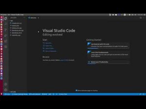 visual studio code ubuntu debug
