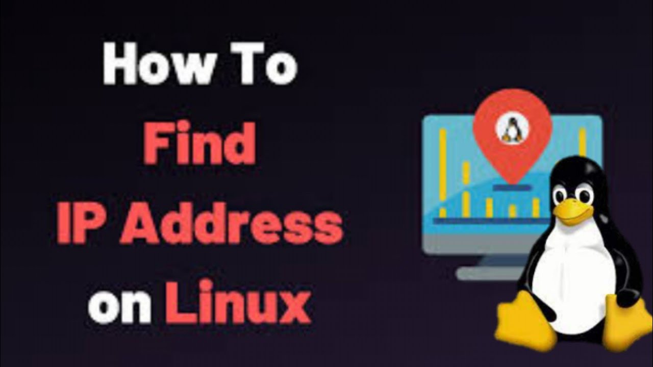 how-to-check-ip-address-in-linux