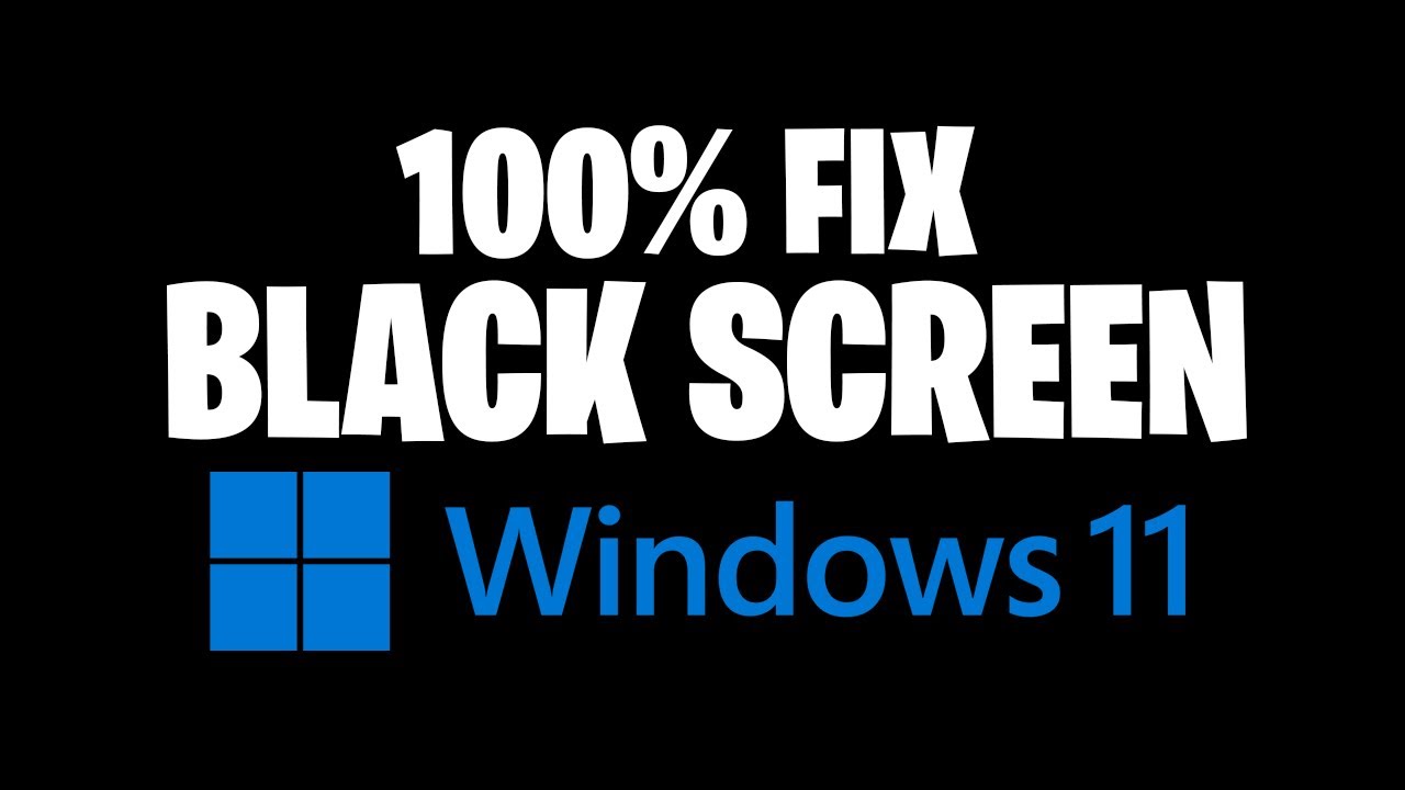 company of heroes windows 10 black screen