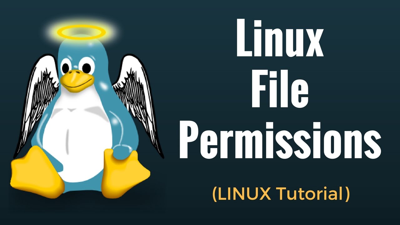 linux-file-permissions-tutorial-for-beginners