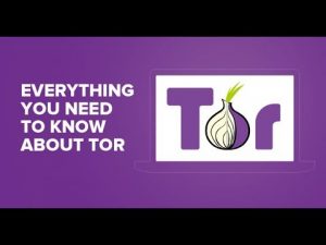 for mac instal Tor 13.0.7