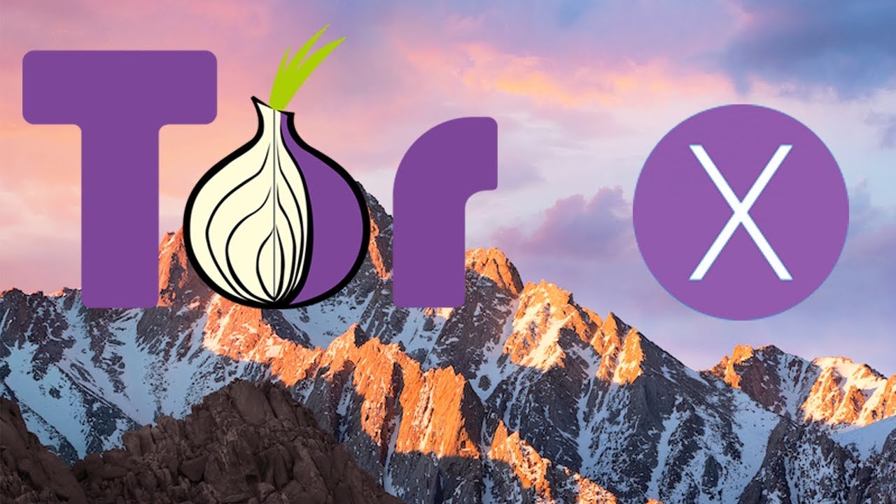 Tor 12.5 instal the last version for ios