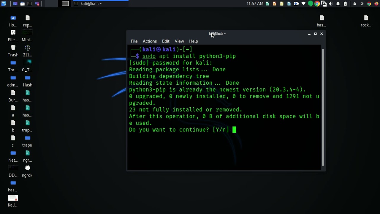 how-to-install-python-and-pip-in-kali-linux-2020-3-python-3-8-7