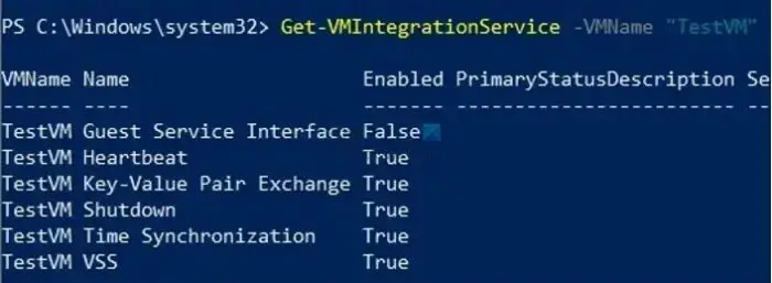 Vm integration Service Status Check