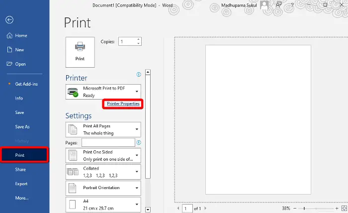 Print black and white on Word Windows 11