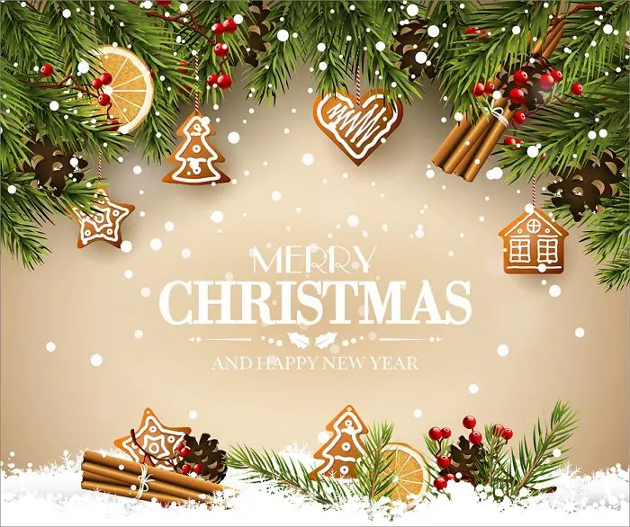Cozy Christmas Delights