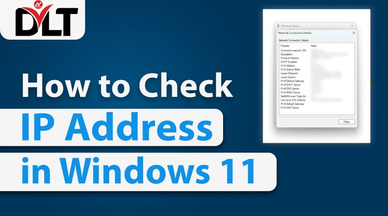 how to check pc ip address windows 11