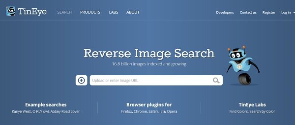 reverse image search