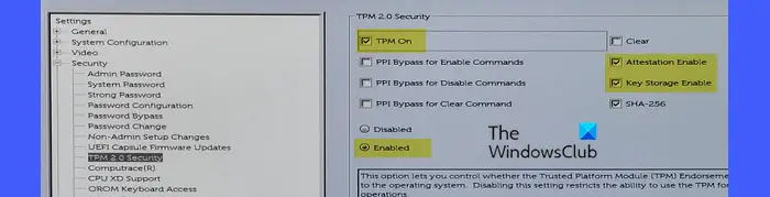 TPM enabled in BIOS